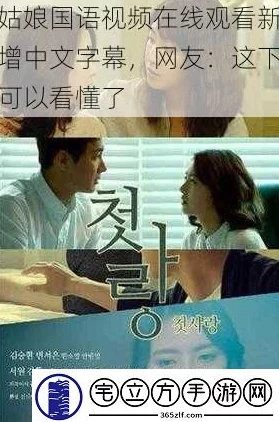 中文字幕公司服务质量如何？网友评价一览