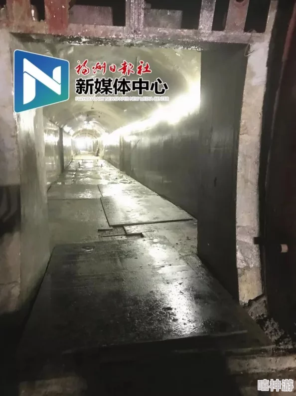 秘密通道3秒自动跳转技术通道维护升级预计24小时内完成