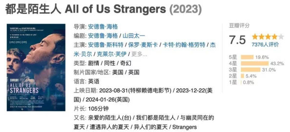 男人毛片：对男性成人影片类型、传播及社会影响的初步探索分析