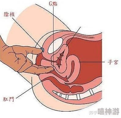 公交上配合陌生人弄到高c为什么刺激感官体验带来强烈快感为何如此受欢迎