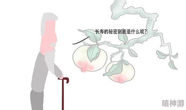 经典番号画质精美内容精彩值得收藏