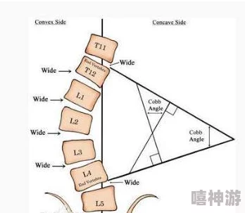 探讨弯曲角质量标准的精确含义及其重要性