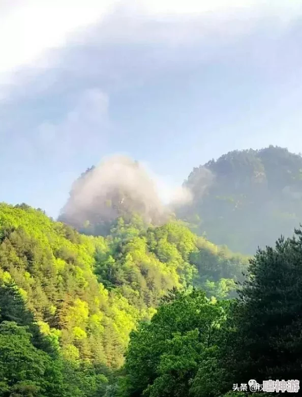 《太极熊猫》海洋秘境套装深度解析驾驭深蓝之力，探索未知海域潜能与全属性奥秘